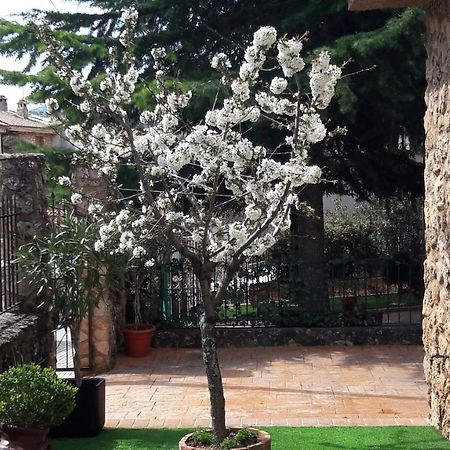 فيلا La Casita De Riópar المظهر الخارجي الصورة